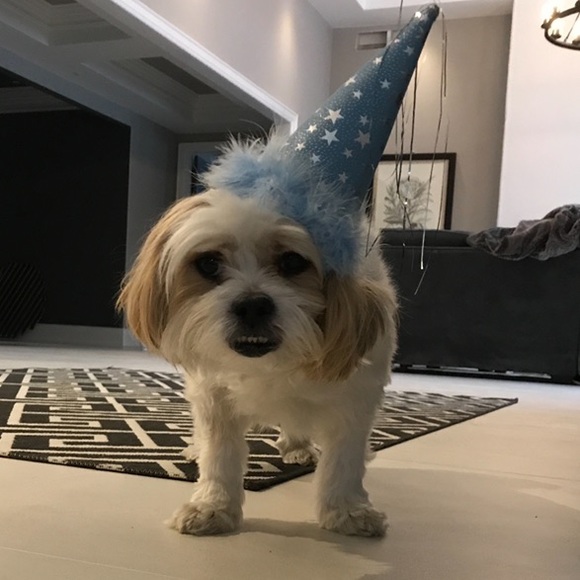 Meet your Posher, Sheron - Picture 1 of 1